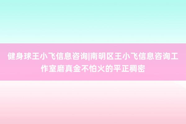 健身球王小飞信息咨询|南明区王小飞信息咨询工作室磨真金不怕火的平正稠密